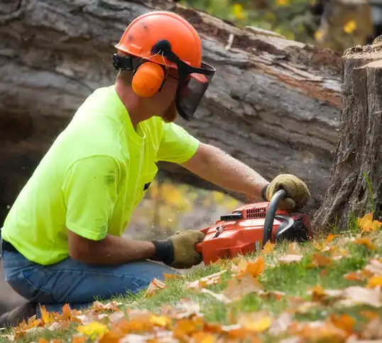 tree services Greensburg